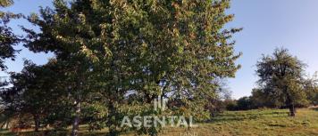 Snímek obrazovky 2024-09-06 143223