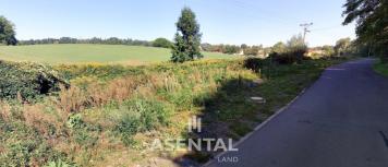 Snímek obrazovky 2026-01-16 105012