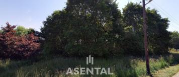 Snímek obrazovky 2026-03-20 141609