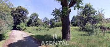 Snímek obrazovky 2026-04-07 155303