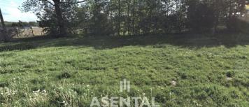 Snímek obrazovky 2026-04-13 094805