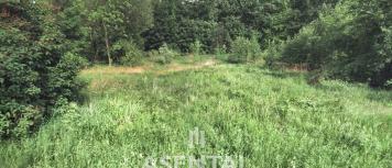 2019-01-10 11_46_25-