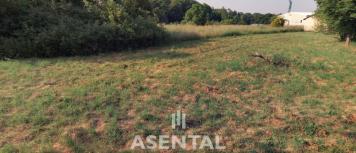 Snímek obrazovky 2026-04-02 101607