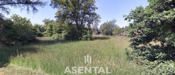 Snímek obrazovky 2026-03-20 133038