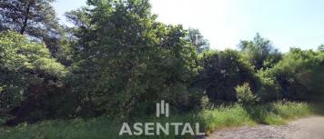 Snímek obrazovky 2026-03-05 151936