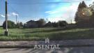 2022-08-12 12_28_14-Window