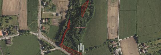 Prodej souboru pozemků o výměře 3 531 m2 v k.ú. Petřvald u Karviné