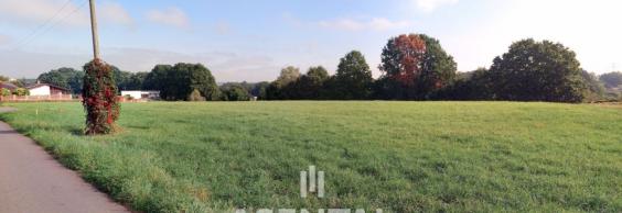 Prodej stavebního pozemku, 5 394 m²  Rychvald