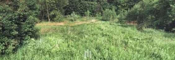 Prodej pozemků, 2 800 m² - Ostrava - Slezská Ostrava