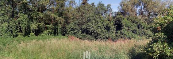 Prodej pozemků 3 485 m² Darkov