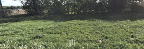 Prodej stavebních pozemků, 12 324 m²  Poruba u Orlové