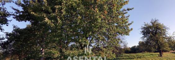 Prodej pozemků, 3 945 m² Doubrava u Orlové