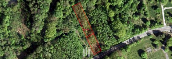 Prodej pozemků o výměře 1 662 m2 v k.ú. Orlová