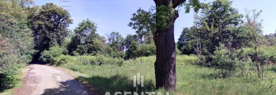 Prodej pozemků 114 814 m² Karviná - Doly