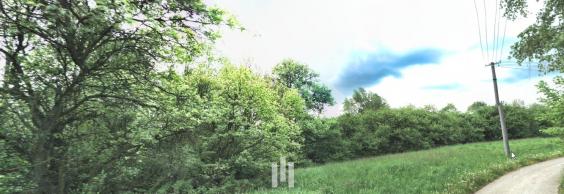 Prodej pozemků, 2 979 m2 Doubrava u Orlové