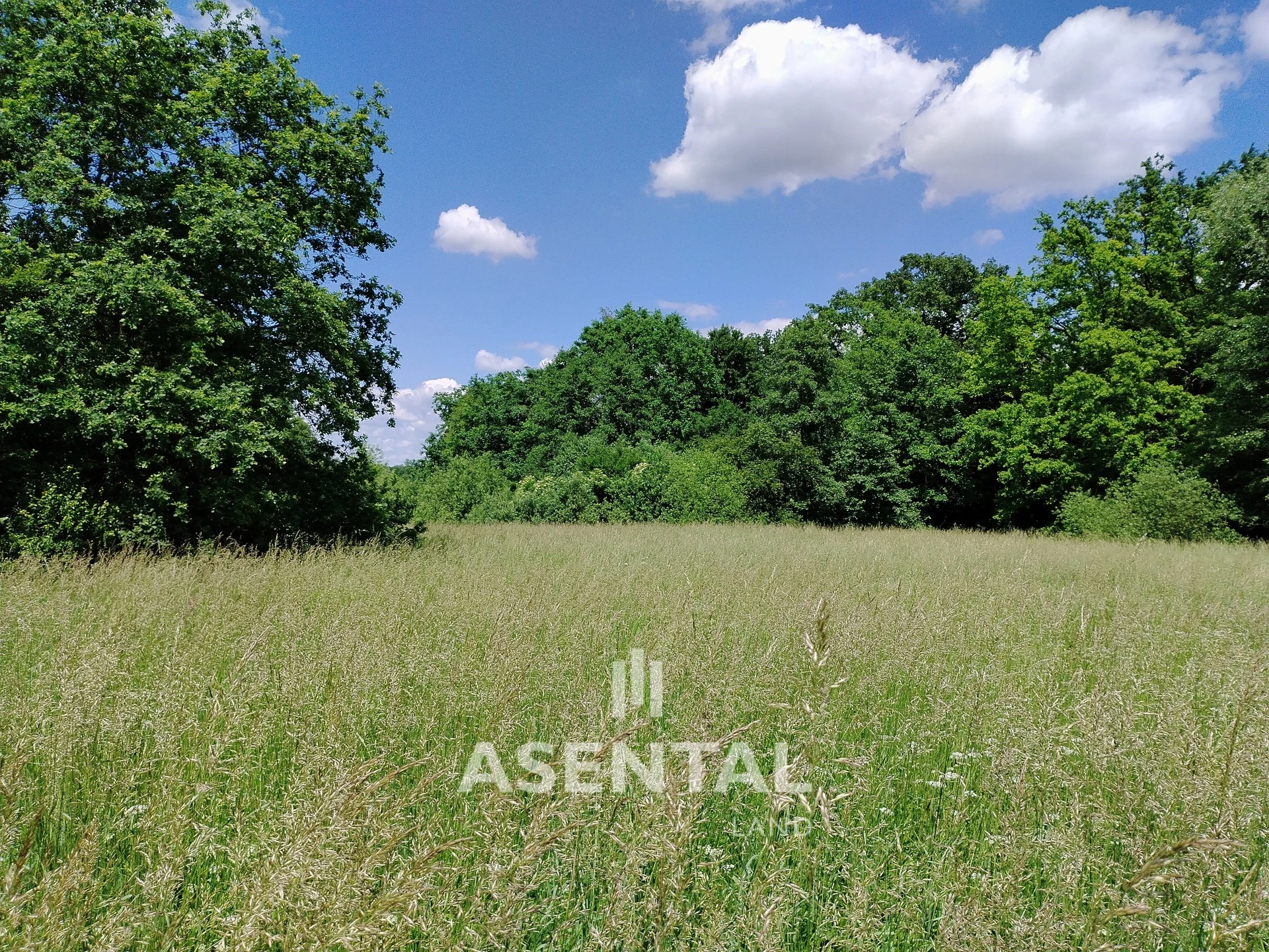 Prodej pozemků, 285 924 m² - Karviná - Louky nad Olší