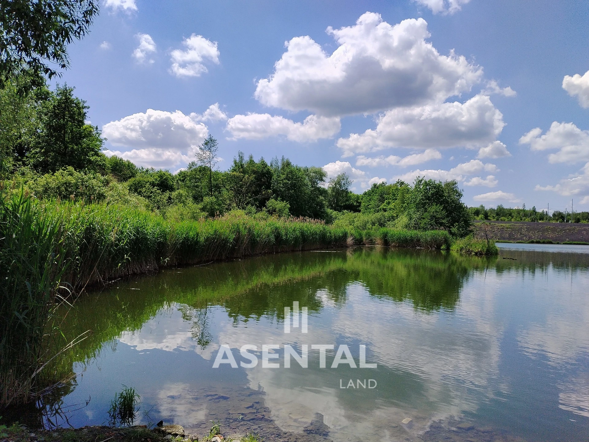 Prodej pozemků, 285 924 m² - Karviná - Louky nad Olší