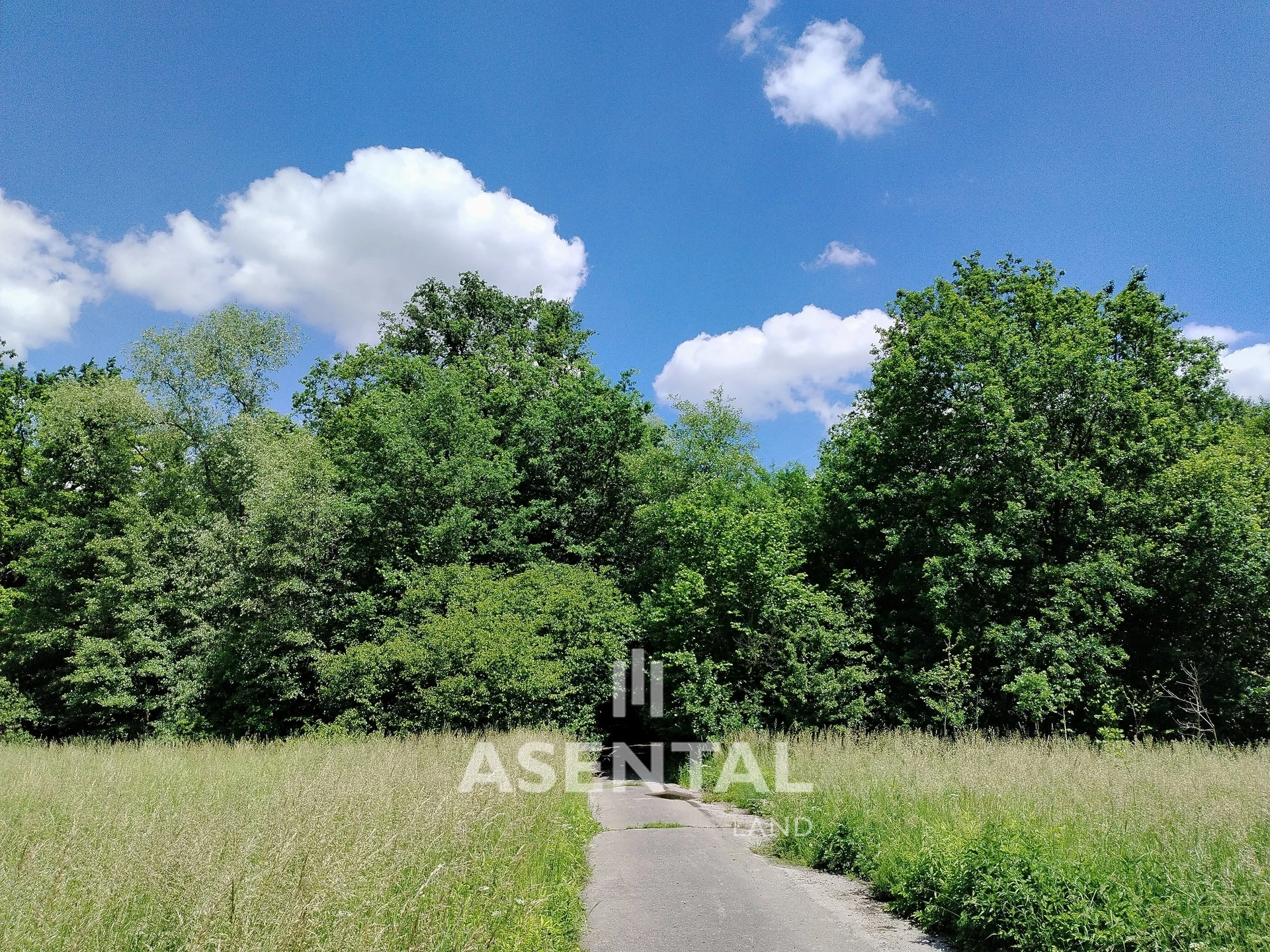 Prodej pozemků, 285 924 m² - Karviná - Louky nad Olší
