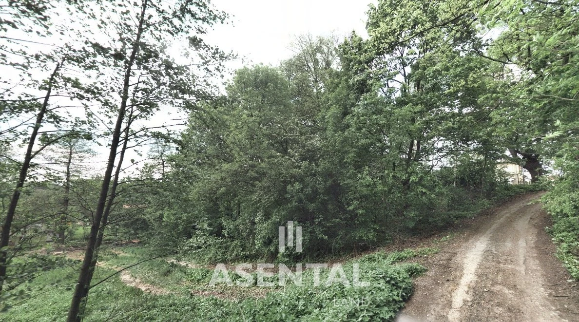 Prodej souboru pozemků o celkové výměře 2 442 m² v k.ú. Orlová
